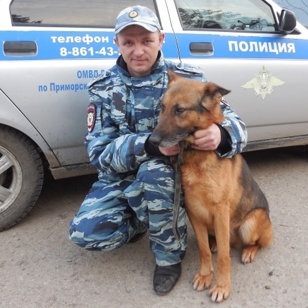 В Приморско-Ахтарском районе пес Норд нашел разбойника по потерянному  сапогу - KP.RU