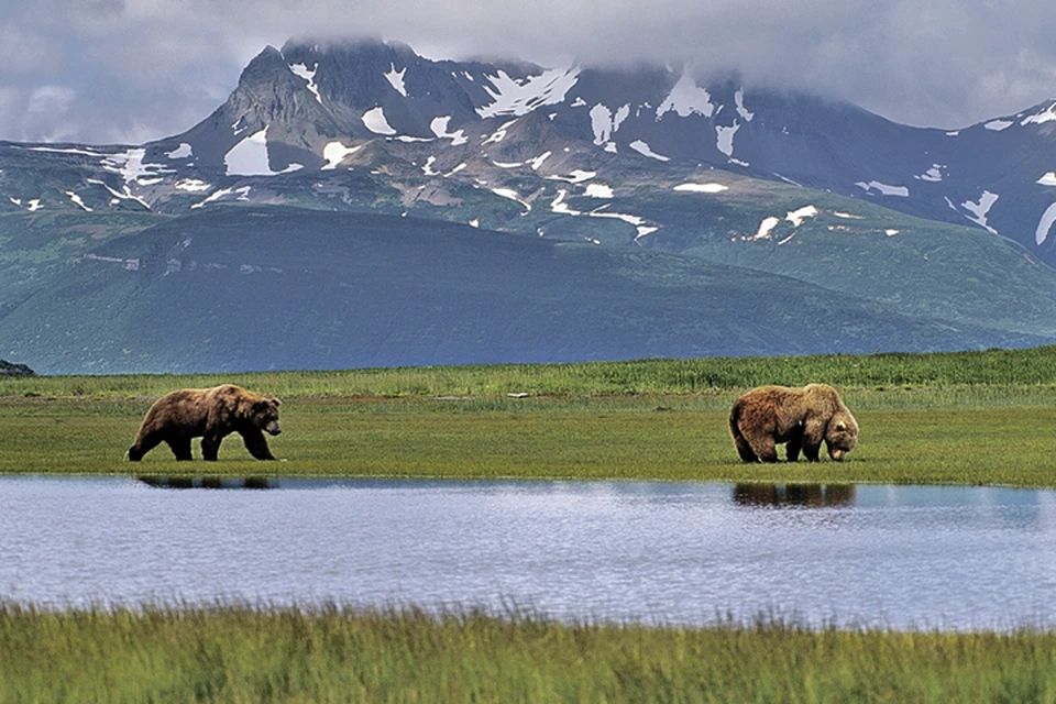 Территория Аляски - 1 миллион 519 тысяч квадратных километров.