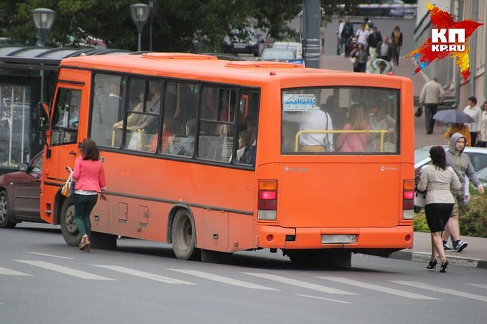 Вместо 31 маршрутки в Нижнем Новгороде появятся 22 новых.