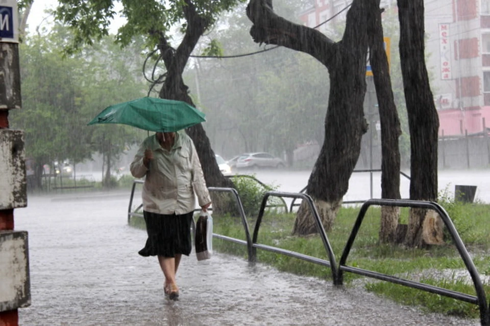 28 и 29 мая в отдельных районах Приамурья обещают дождь - где-то слабый, умеренный, а местами сильный.