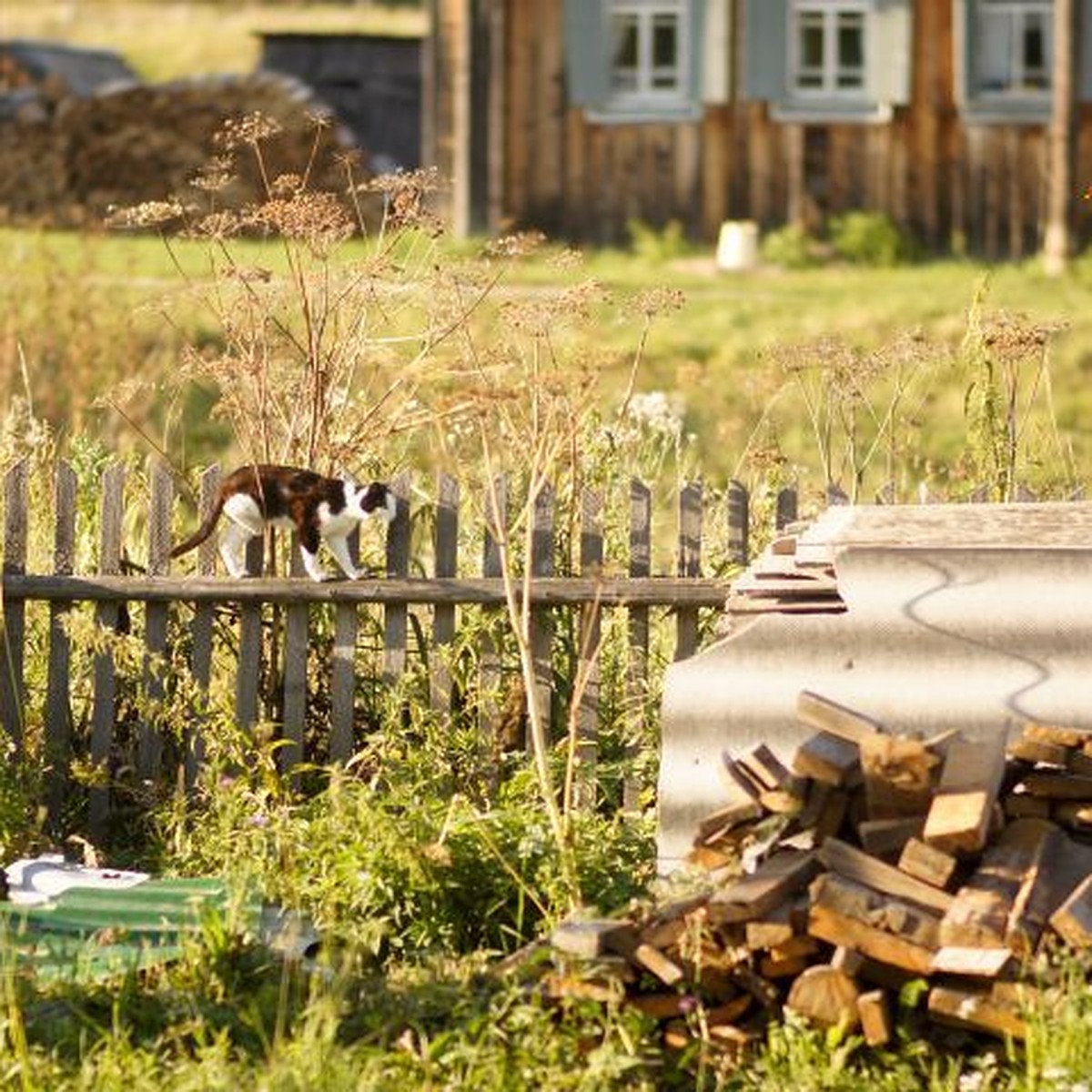 Где в Екатеринбурге купить мебель для дачи и веранды - KP.RU