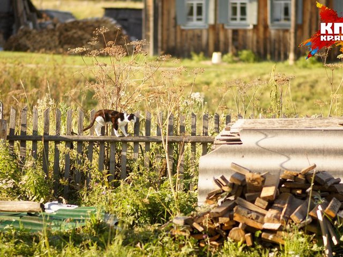 Где в Екатеринбурге купить мебель для дачи и веранды - KP.RU