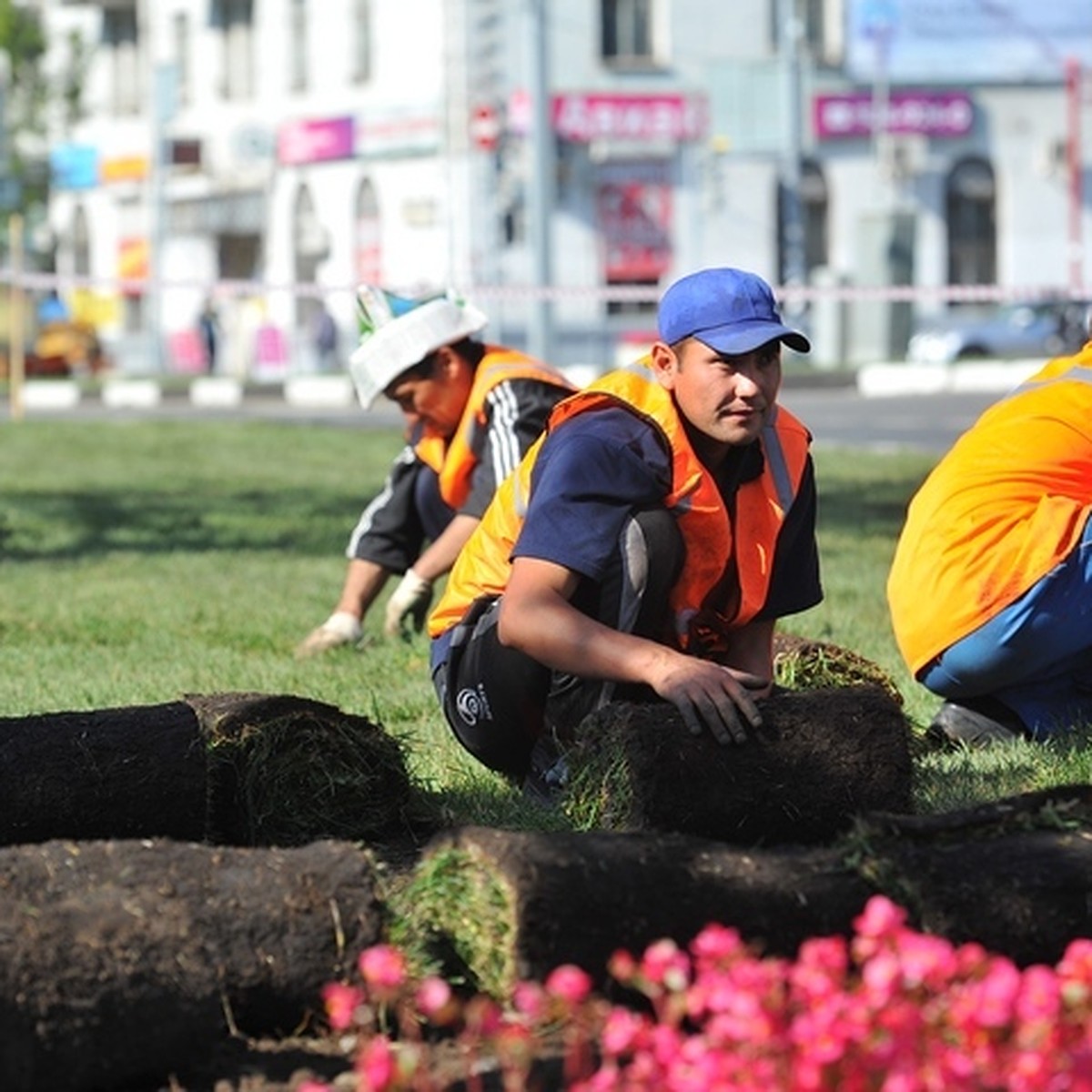 В Приморье по заявкам жителей наведут красоту в парках и на спортплощадках  - KP.RU