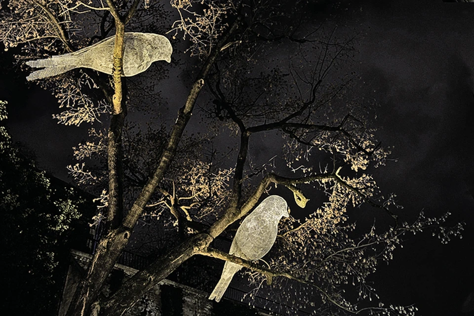 Художник Седрик Ле Борн покажет гостям фестиваля своих волшебных птиц... Фото: Предоставлено организаторами фестиваля
