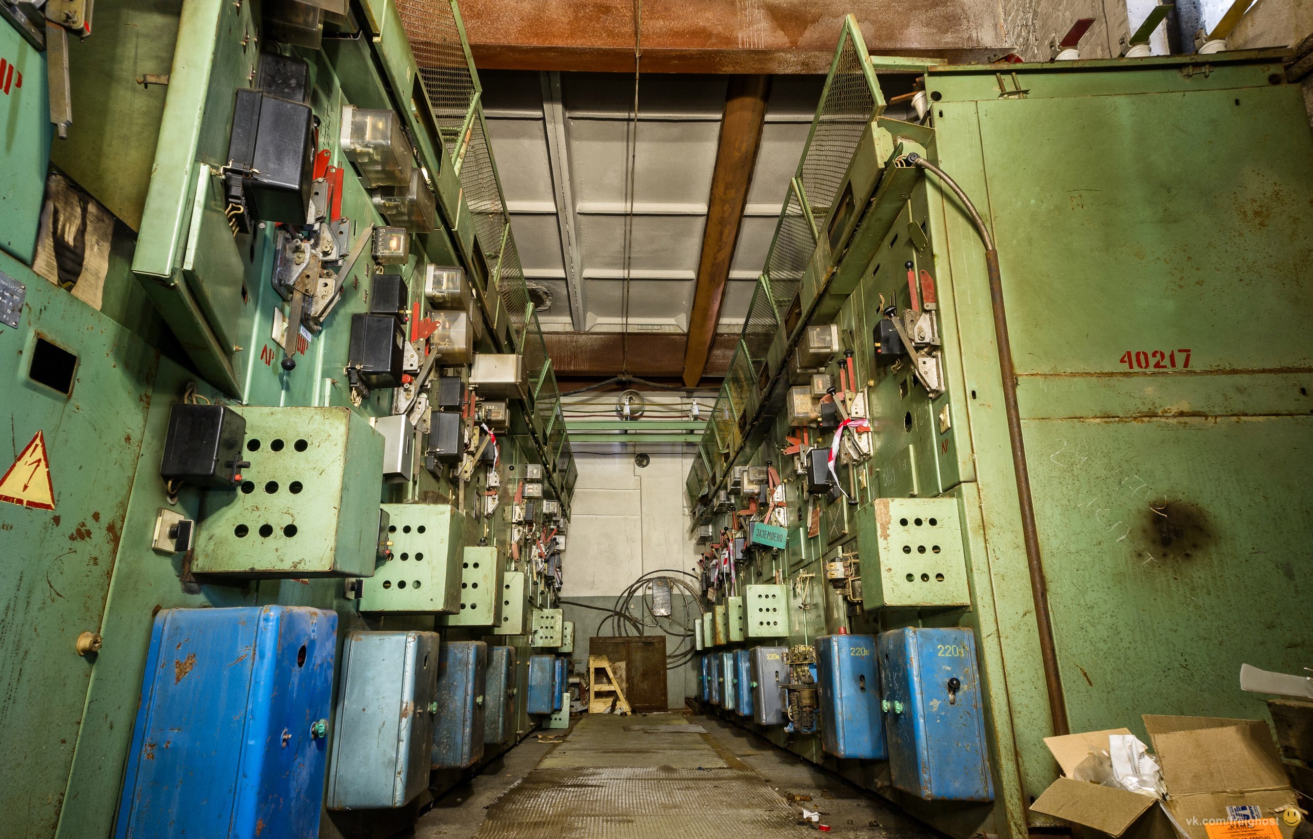 Фото: Андрей Колчин