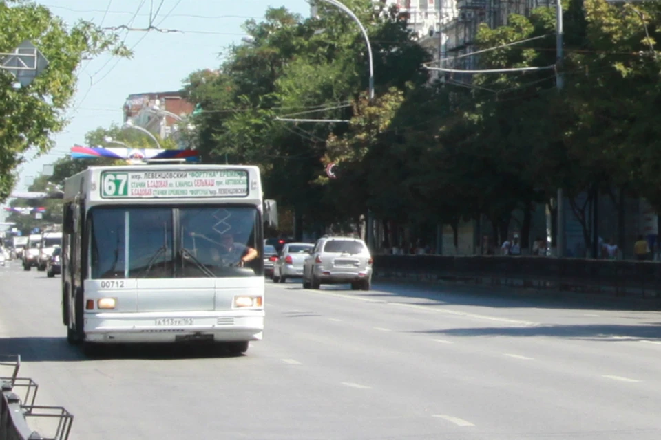 Дифференцированная оплата проезда касается только больших автобусов, на маршрутки это не распространяется.