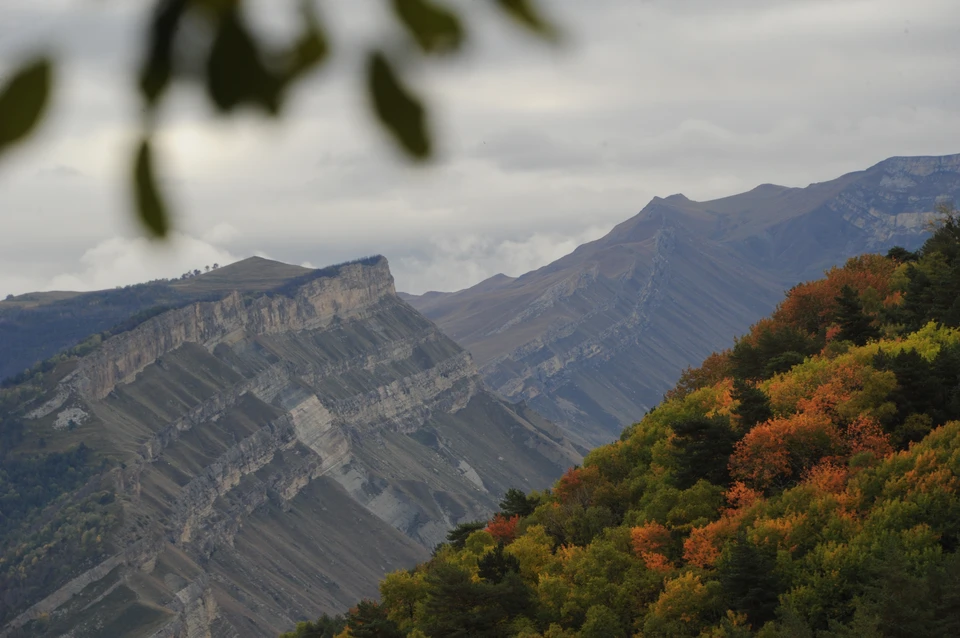 В республике Дагестан создана особо охраняемая природная территория регионального значения.
