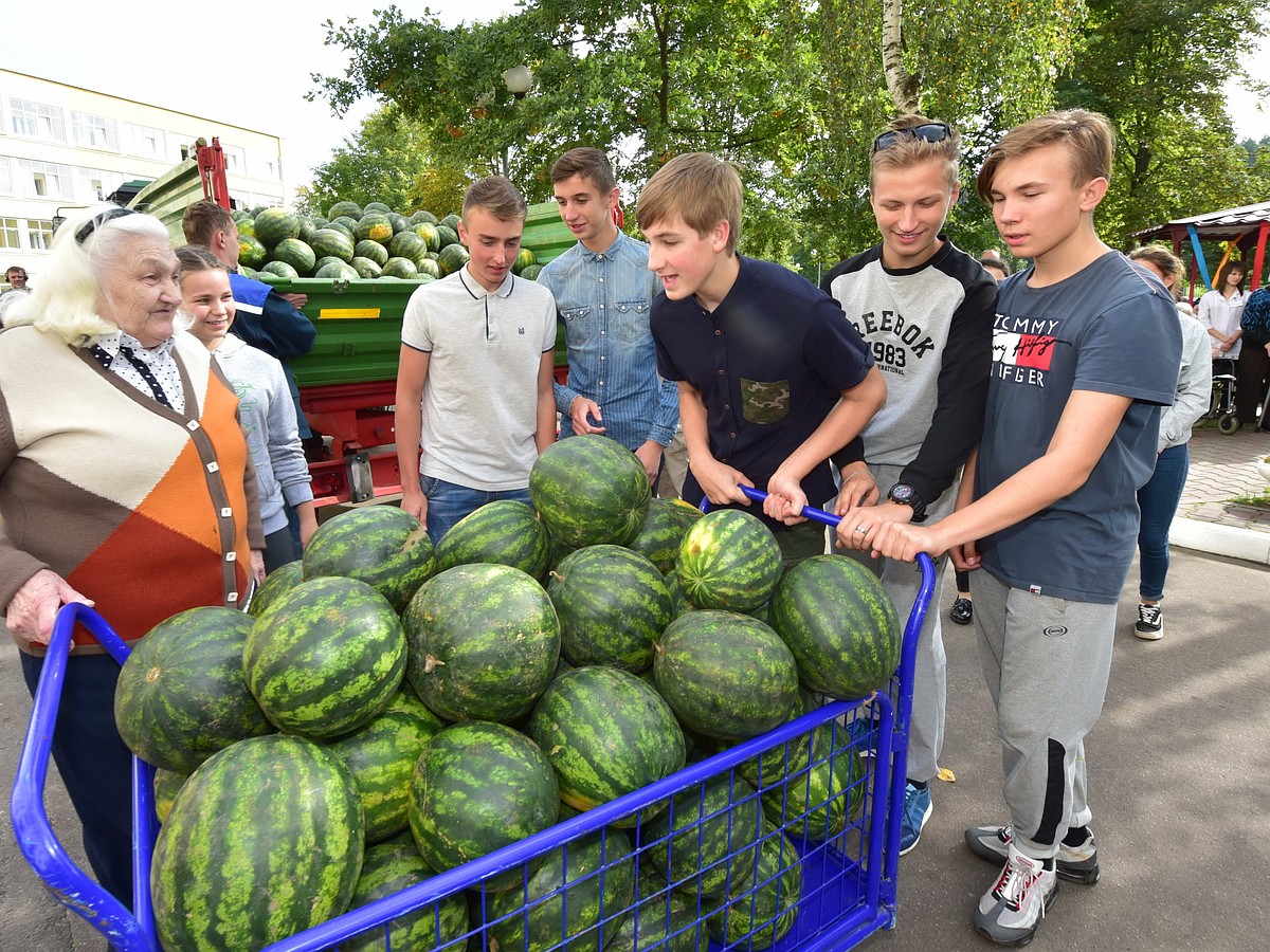 Николай и дети подарили нам арбузы, а мы испекли для них юмбрики» - KP.RU