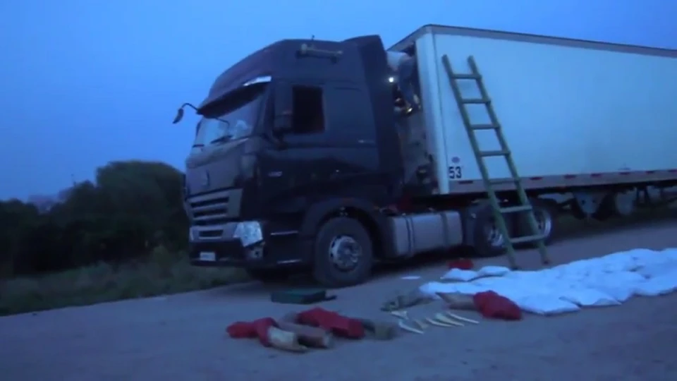 Фото: скриншот видео