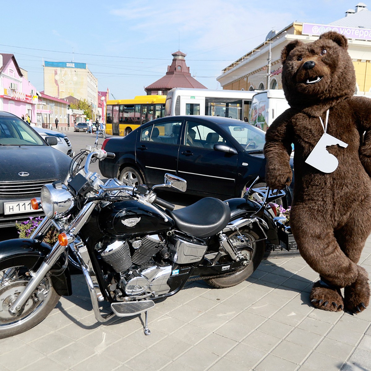 Медведь на мотоцикле