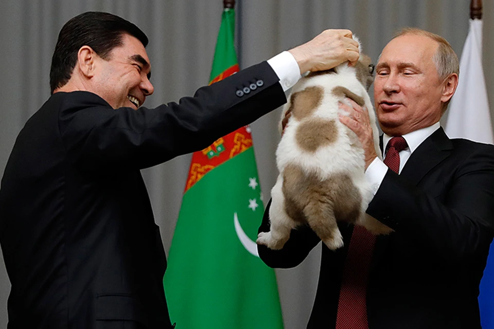 Приехавший в Сочи президент Туркмении Гурбангулы Бердымухамедов не просто поздравил его с прошедшим днем рождения, но и привез с собой подарок. Фото: Михаил Метцель/ТАСС