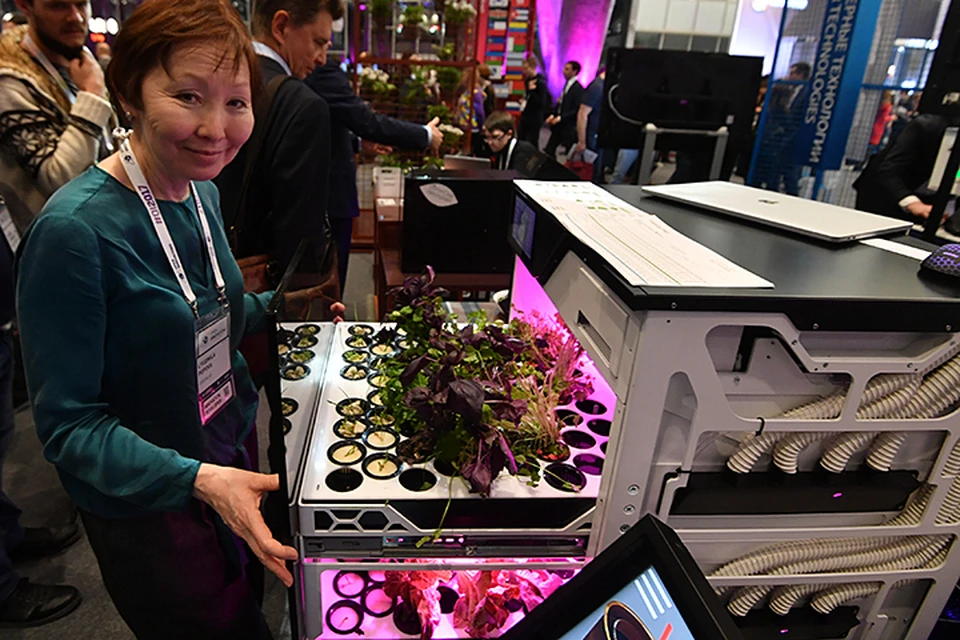 Это «Зеленый бар» - гидропонная автоматизированная бытовая установка по выращиванию зеленых листовых овощей