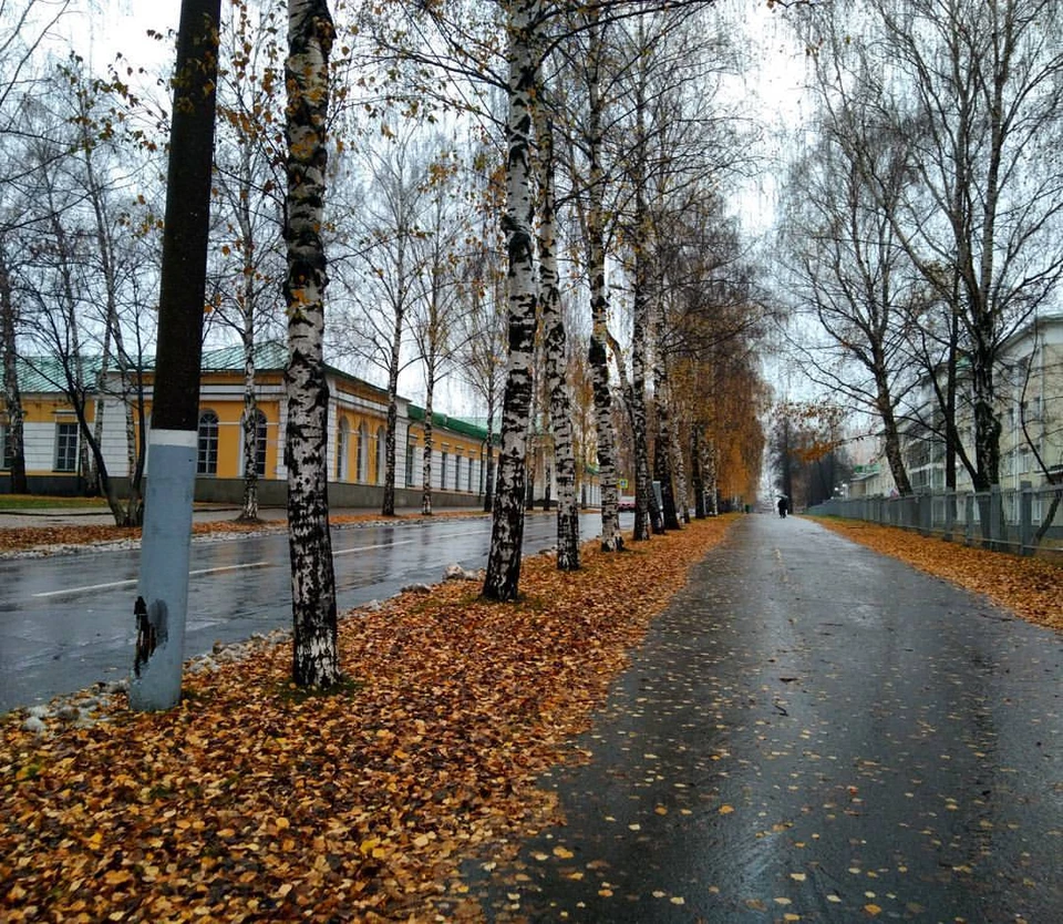 Фото: Александр Попков