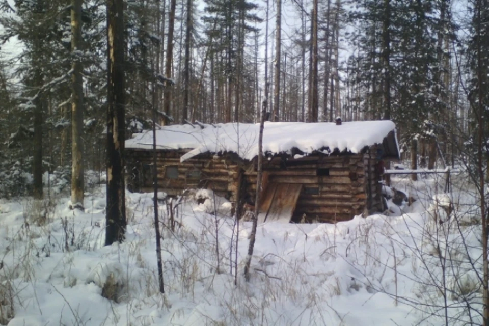 Медведь украл у охотника два ружья в Иркутской области