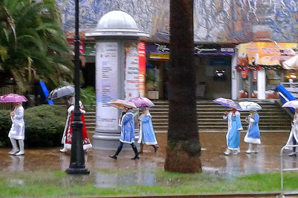 Парад Дедов Морозов в Сочи прошел под дождем. Фото: Виктор Шандоров