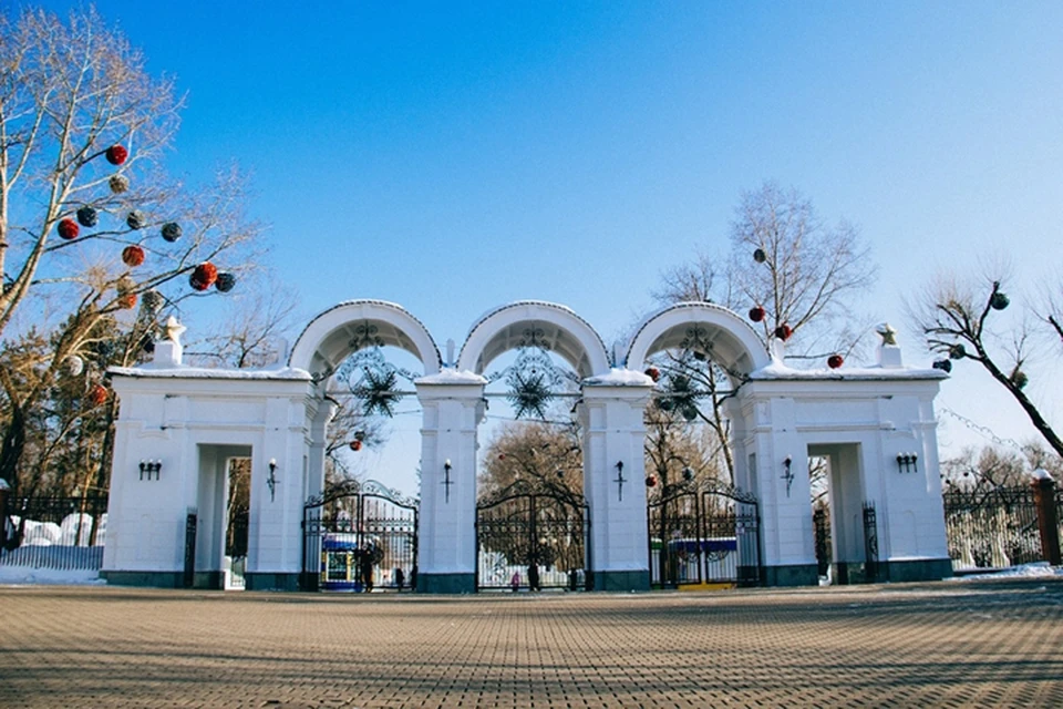 Хабаровск парк динамо фото
