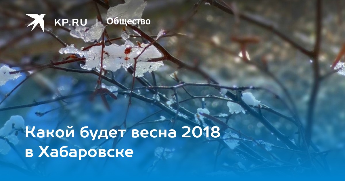 Когда в Петербурге наступит весна? Правда, что лето будет жарким? Отвечают климатолог и синоптик