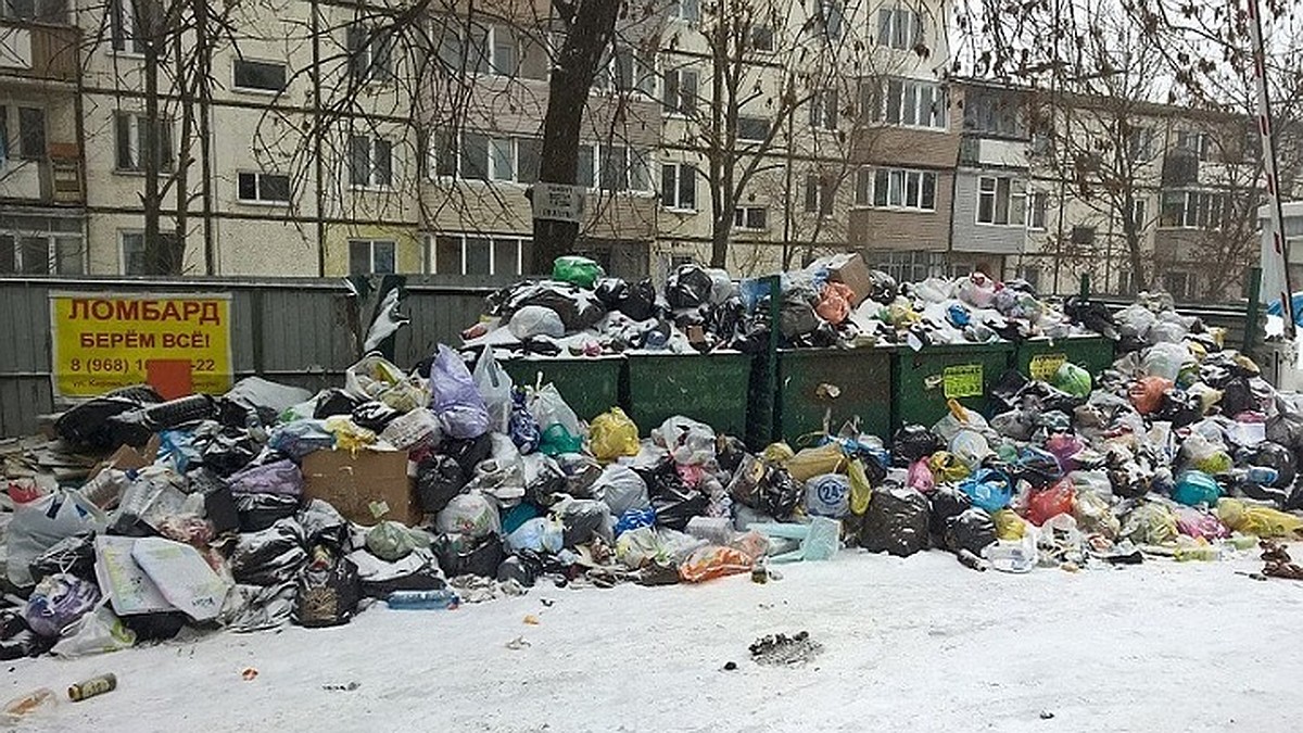 Австралийский психолог Роб Кернау рассказал владивостокцам, почему люди  мусорят и как предотвратить это - KP.RU