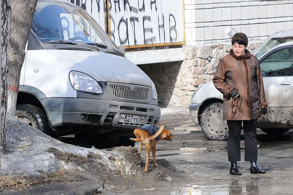 Новосибирцам, чьи собаки справляют нужду в неположенном месте, грозит крупный штраф