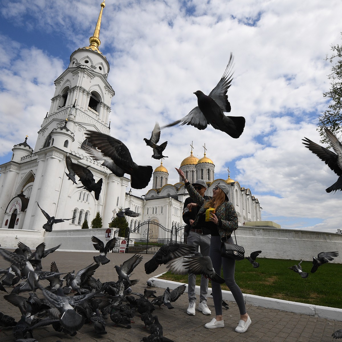 Международный день птиц: краснодарские ласточки весной перелетают Сахару,  чтобы вернуться домой - KP.RU