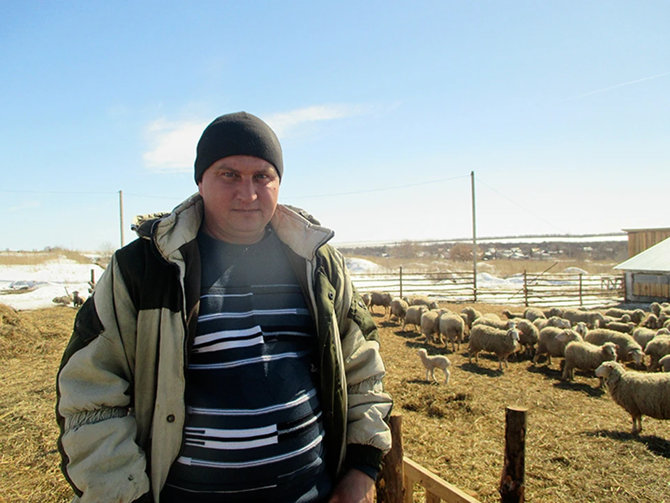 Дмитрий Щавелев планирует освоить и молочное направление животноводства