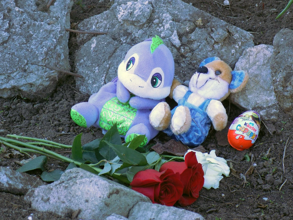 В память о погибшей девочке на клумбу принесли цветы и игрушки
