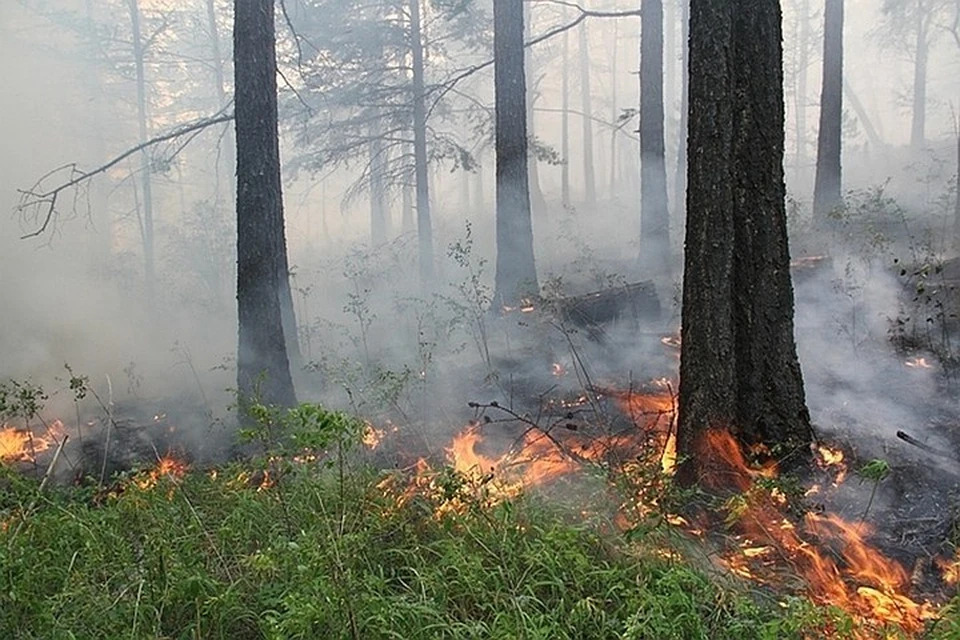 В Куруманском районе Бурятии объявили режим ЧС из-за сильного лесного пожара. Фото: пресс-служба ГУ МЧС по Иркутской области
