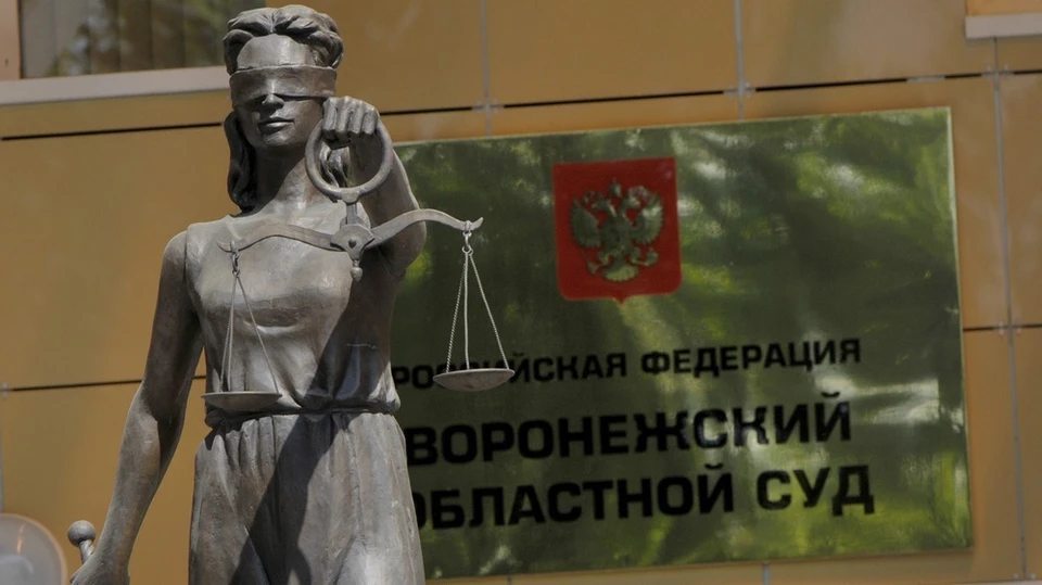 Новое заседание по делу Марии Григорашенко назначили на 6 июня.