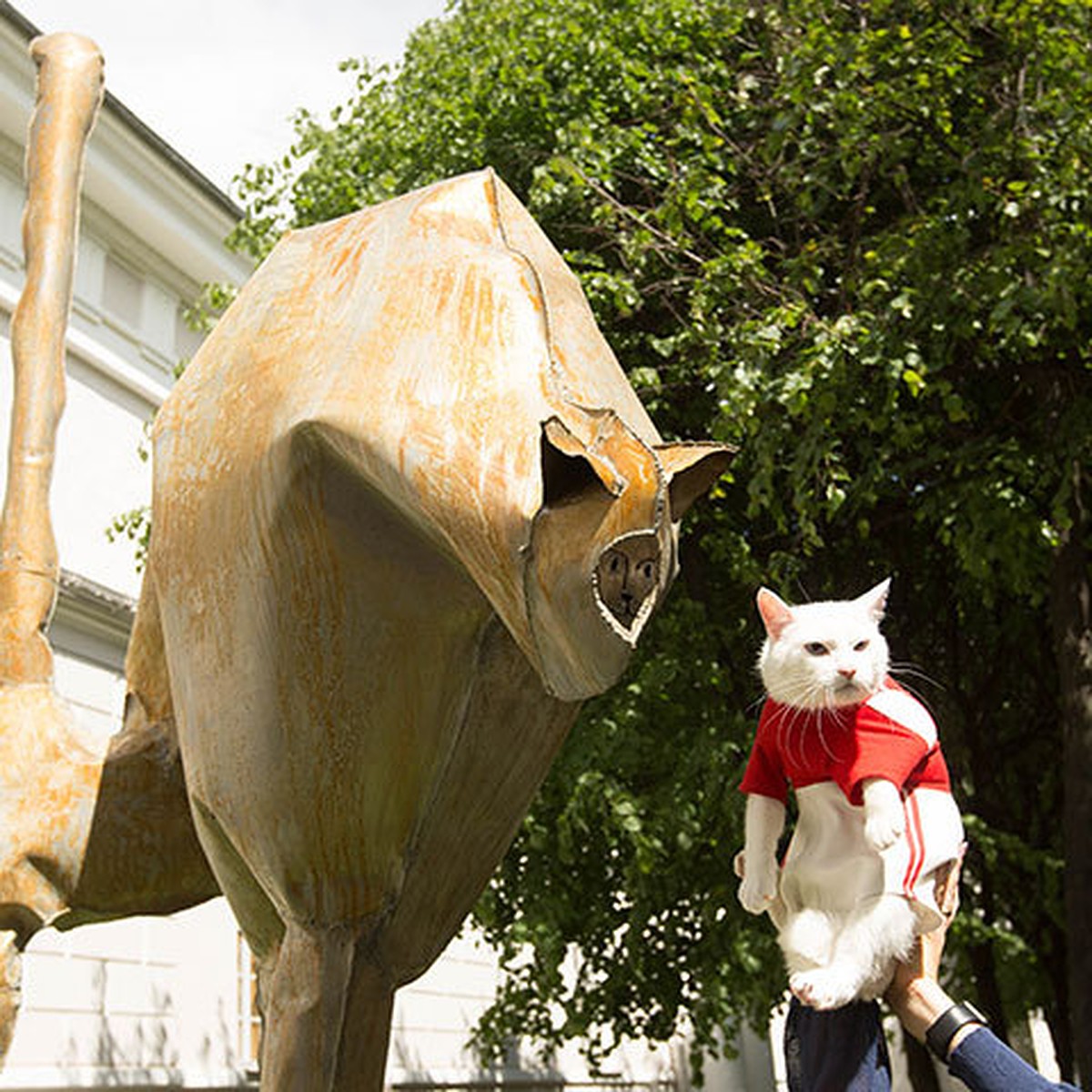 Казанский кот памятник в Казани