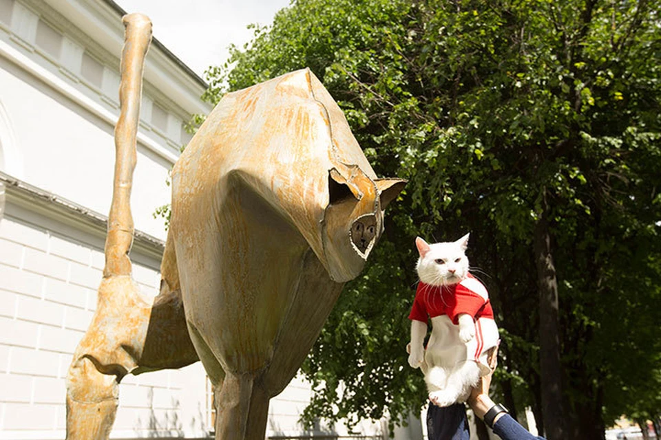 Памятник коту появился в Санкт-Петербурге.