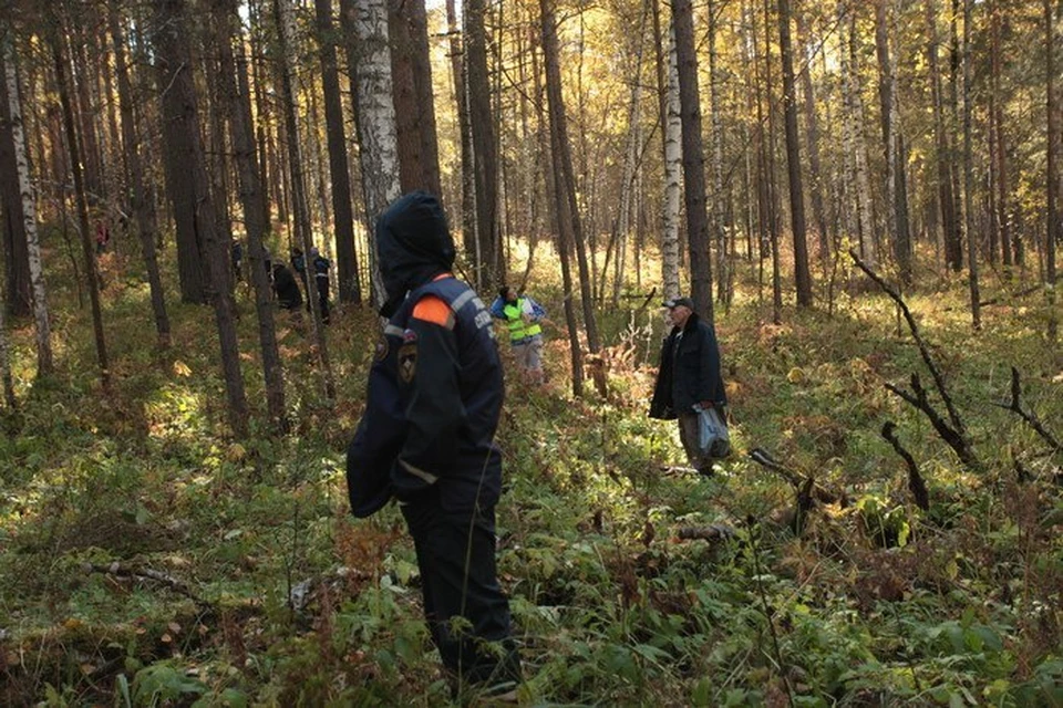 Волонтеры прочесывают леса в поисках пропавшей женщины. Фото: Света Сорокина