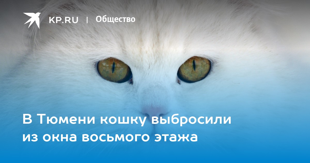 К чему снится выкинуть кошку