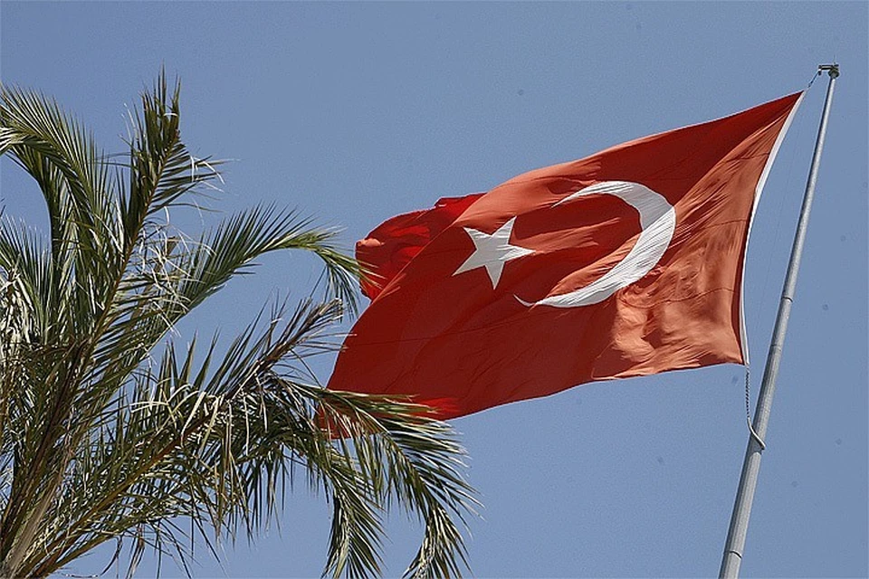 Управляющий турецкого отеля избил молодоженов из Подмосковья