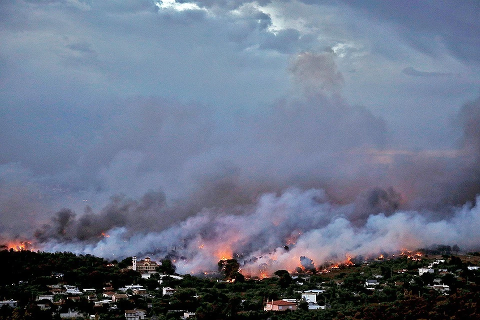 Огонь бушует в окрестностях Афин. Фото: REUTERS