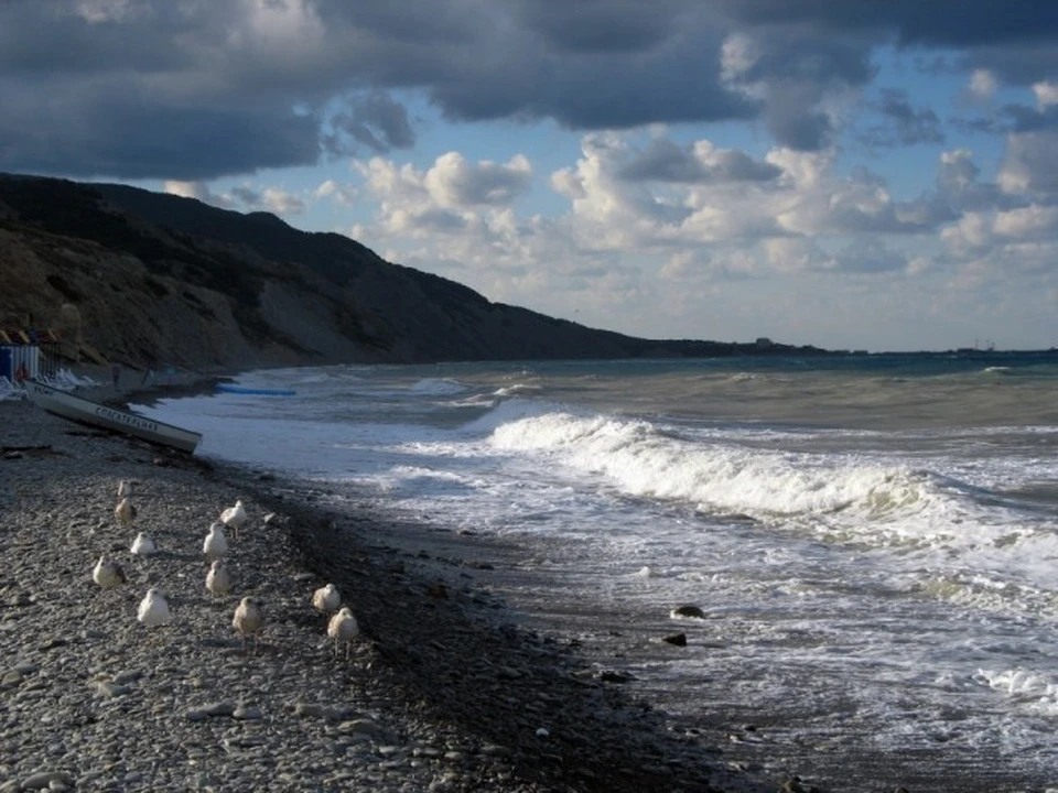 Сукко Варваровка Анапа