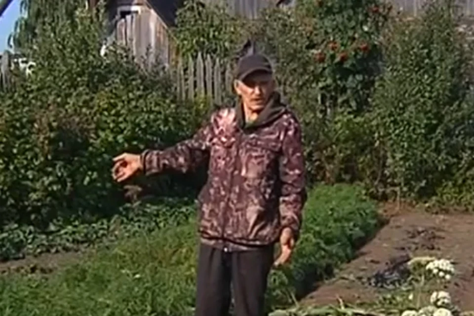 Пенсионер не считает себя наркобароном. Фото: видео телеканала "Рифей-Пермь".