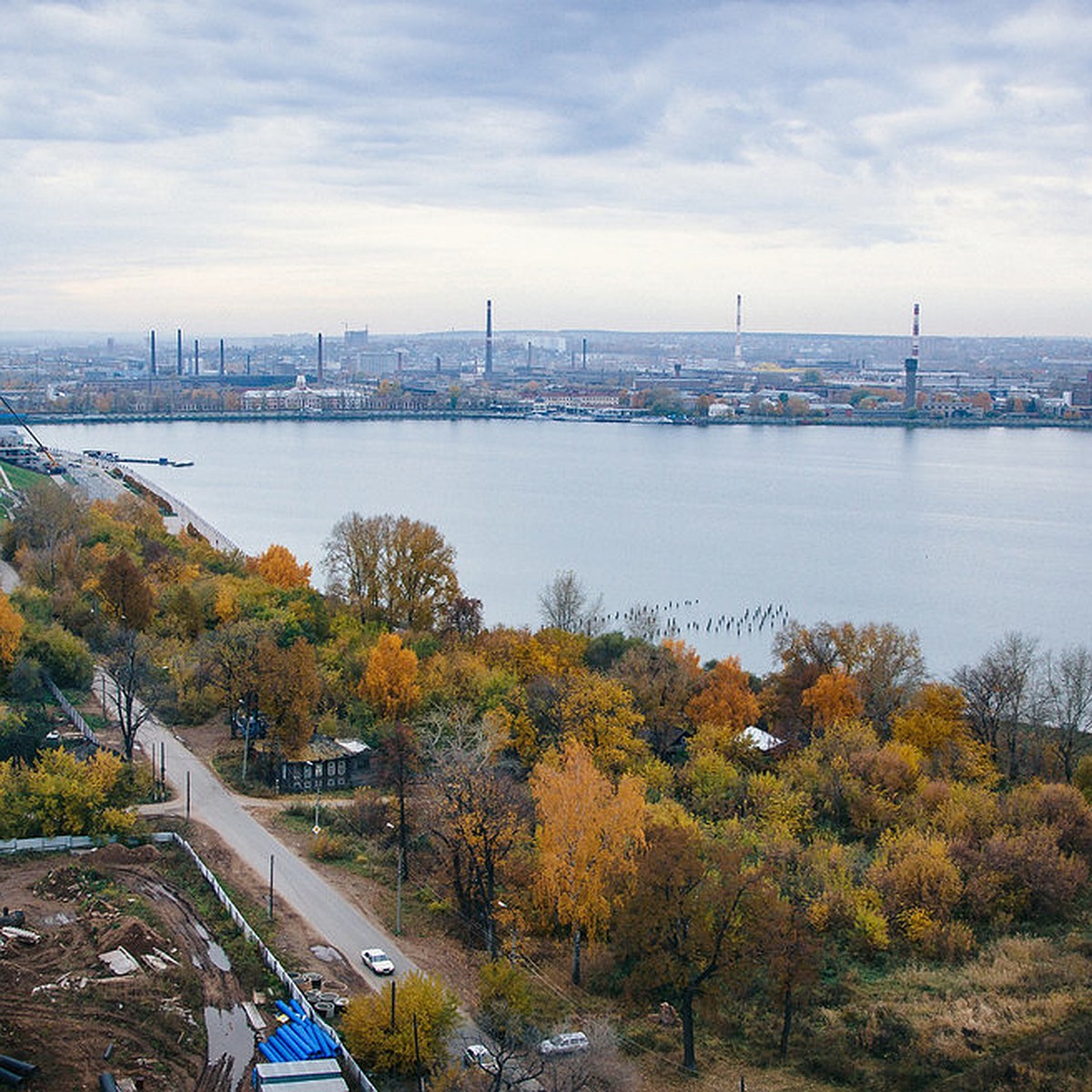 Утро в Ижевске: экзотические кошки в городском жилище, недостоверные данные  о доходах чиновников и отмена тюрьмы за репост - KP.RU