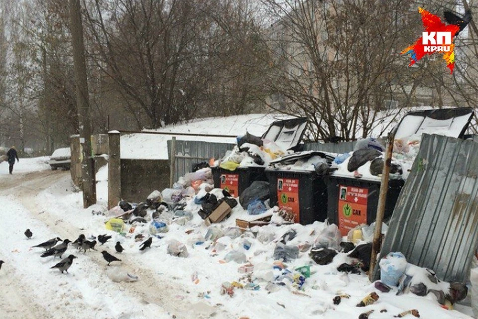 С 1 ноября в Коми стал действовать единый региональный оператор по вывозу мусора