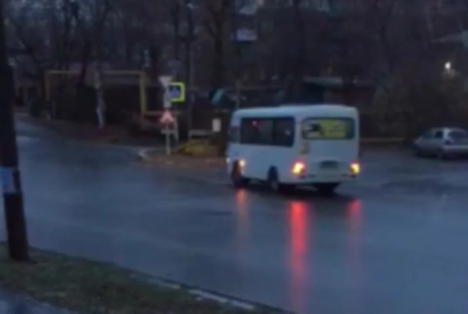 Через секунду маршрутка протаранит дорожный знак. Фото: стоп-кадр видео