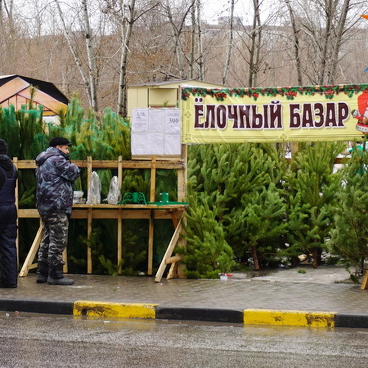 Елочные базары 2018 в Воронеже: где купить елку на Новый год - адреса и  советы по выбору - KP.RU