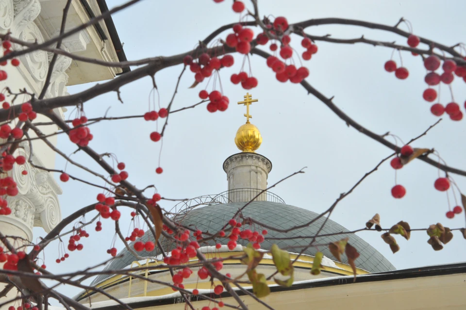 Фото: Владимир ВЕЛЕНГУРИН.