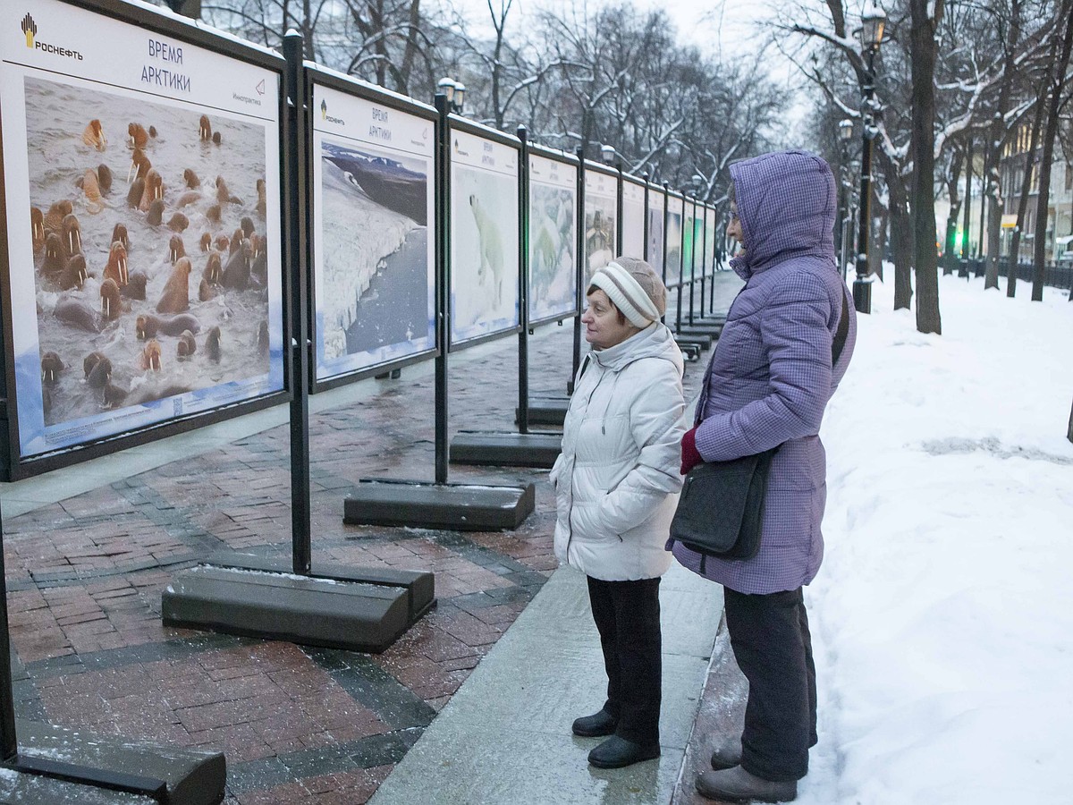 Фотовыставка «Время Арктики» открылась в Москве при поддержке «Роснефти» -  KP.RU