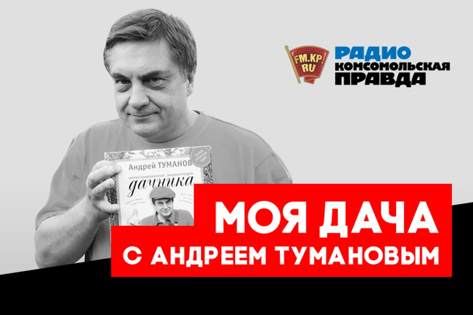 Полезные советы от главного дачника страны Андрея Туманова всем слушателям Радио «Комсомольская правда»