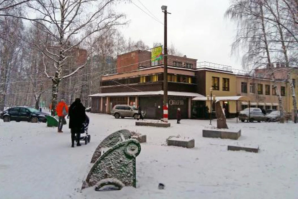 Из парка имени Пушкина в Нижнем Новгороде хотят сделать спортплощадку. Фото: tripadvisor