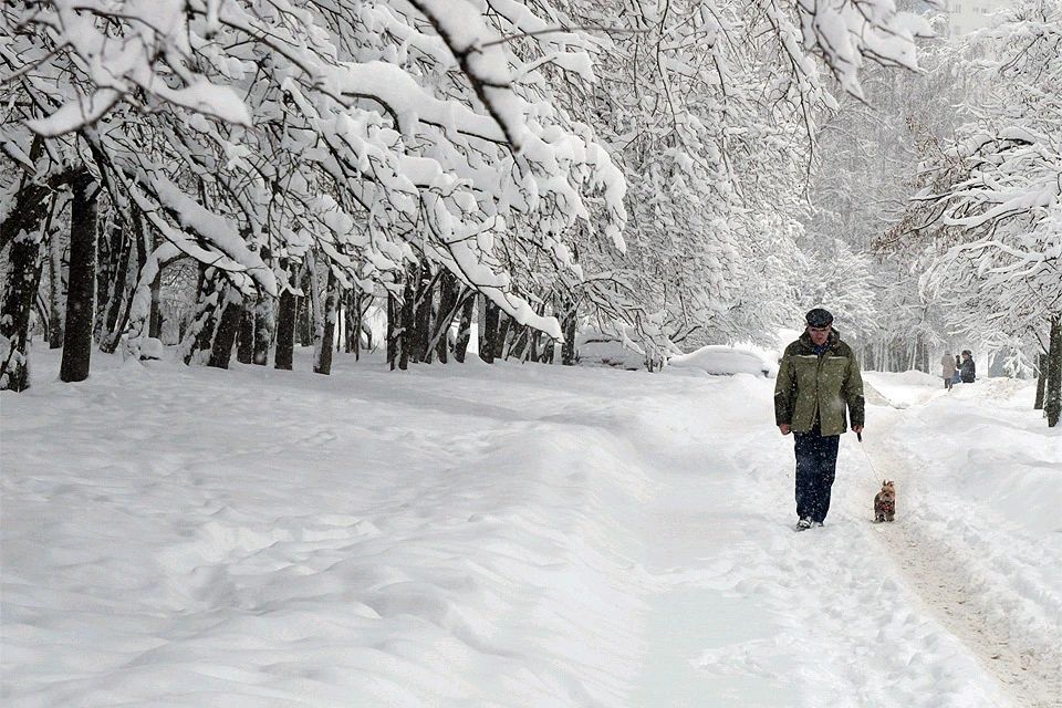 В ближайшие дни в Москве будет морозно, зато сильных снежных осадков синоптики не обещают.