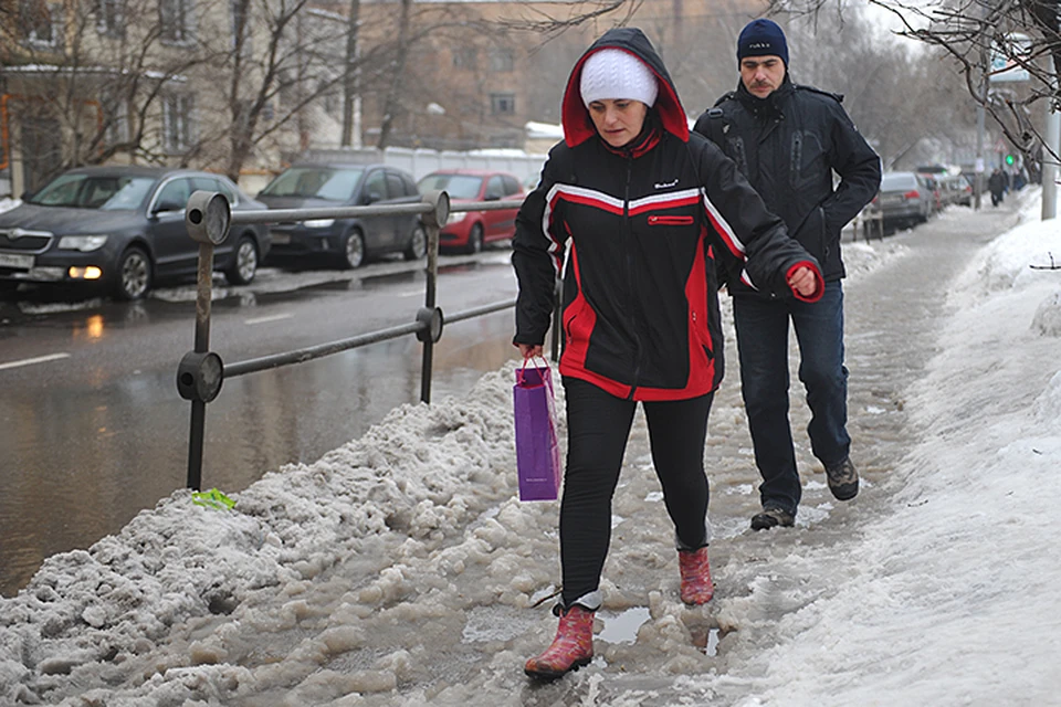Февраль-2019 в Москве завершается аномально теплой погодой