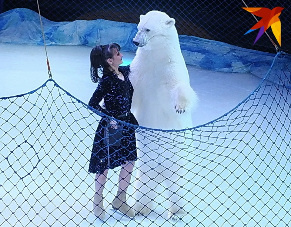 Цирк на льду айсберг воронеж. Денисенко дрессировщица белых медведей. Белый медведь в цирке.