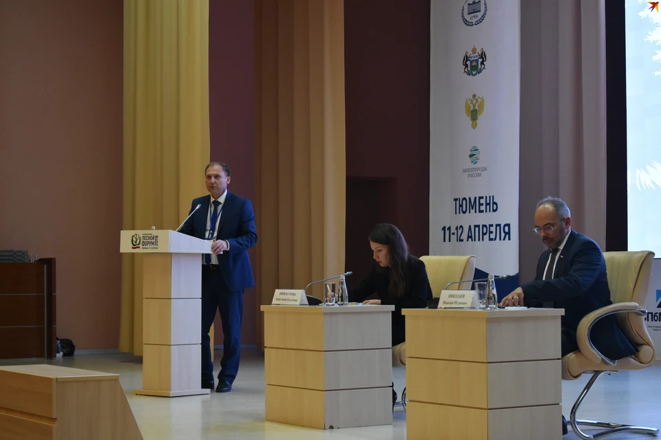 На пленарном заседании директор департамента лесного комплекса Тюменской области Николай Пуртов рассказал о том, как в регионе выстраивается работа школьных лесничеств
