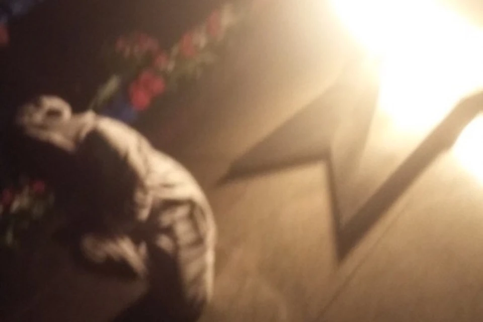 Подростки устроили фотосессию «на корточках» на постаменте мемориала Вечный огонь в Иркутске. Фото: из группы Инцидент ВК.