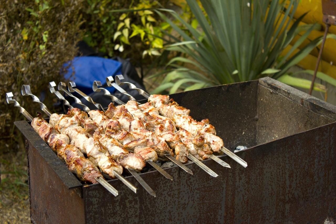 Шашлыки можно пожарить как в лесу, так и у берега моря